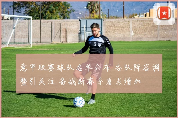 意甲联赛球队名单公布 各队阵容调整引关注 备战新赛季看点增加