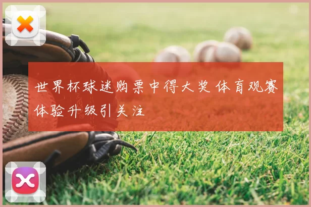 世界杯球迷购票中得大奖 体育观赛体验升级引关注