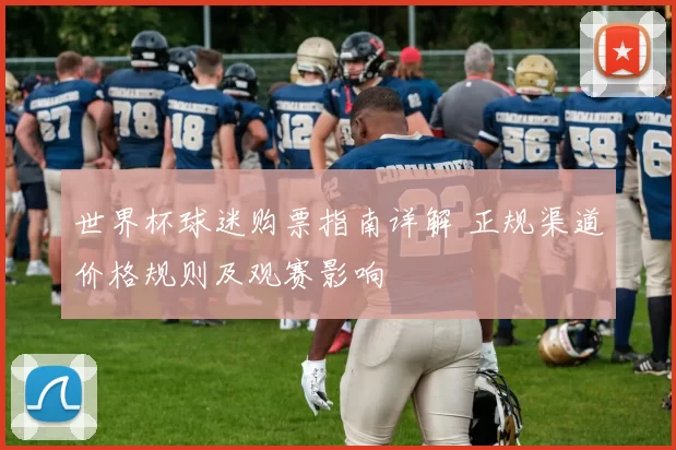世界杯球迷购票指南详解 正规渠道价格规则及观赛影响