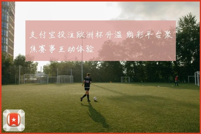支付宝投注欧洲杯升温 购彩平台聚焦赛事互动体验