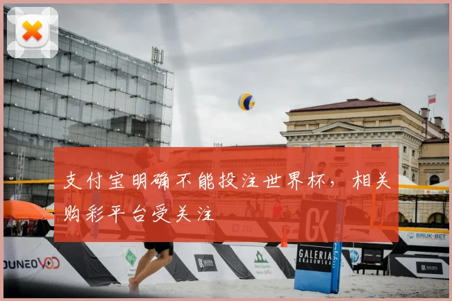 支付宝明确不能投注世界杯，相关购彩平台受关注