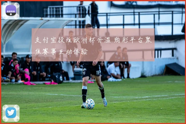 支付宝投注欧洲杯升温 购彩平台聚焦赛事互动体验