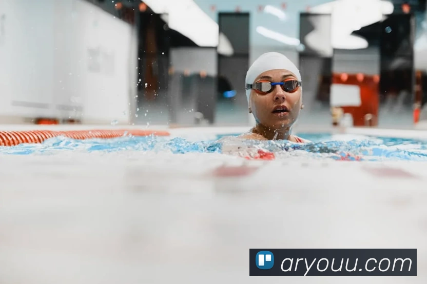 星空网官方入口平台生态图