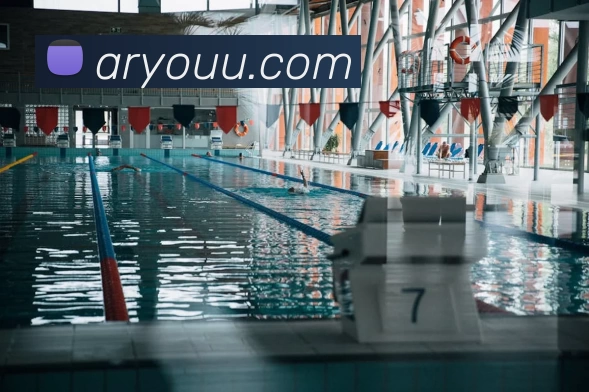 星空网官方入口全站App 星空网官方入口全站App